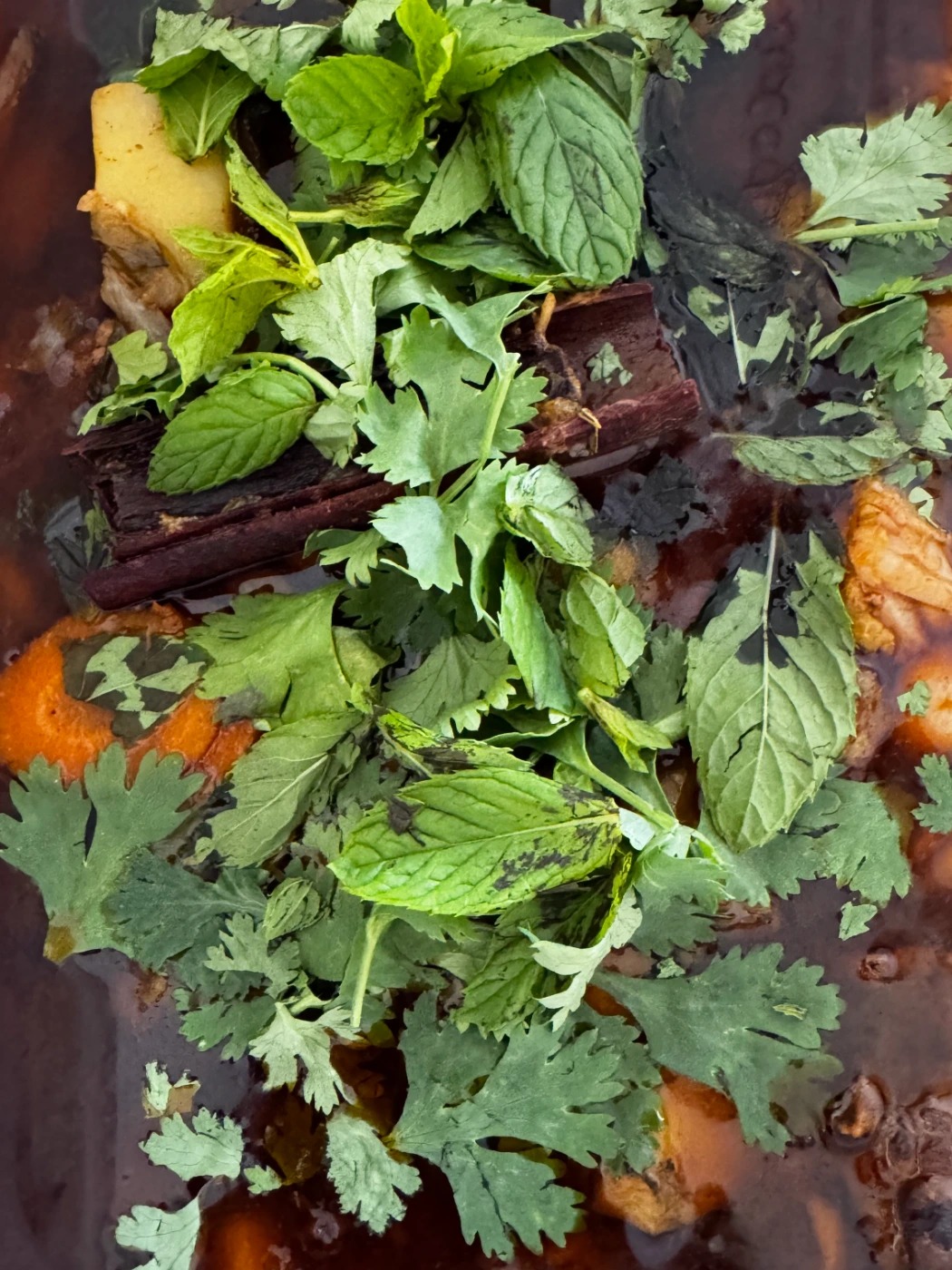 IMG_2422.jpeg IMG_2422.jpeg