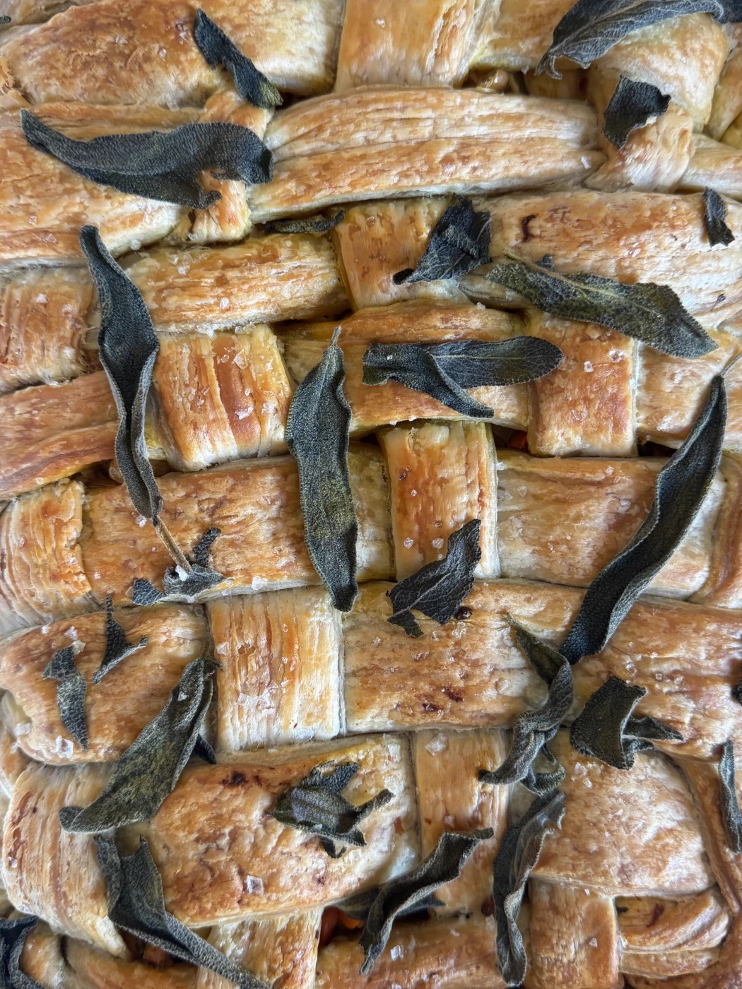 IMG_2418.jpeg IMG_2418.jpeg