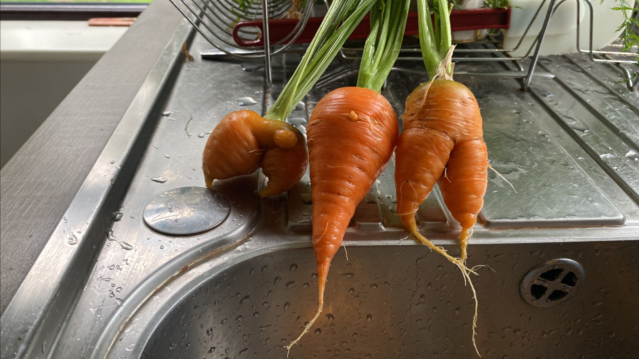 90C069D2-10A1-4958-85F0-68E0C2787A4F 2.JPG