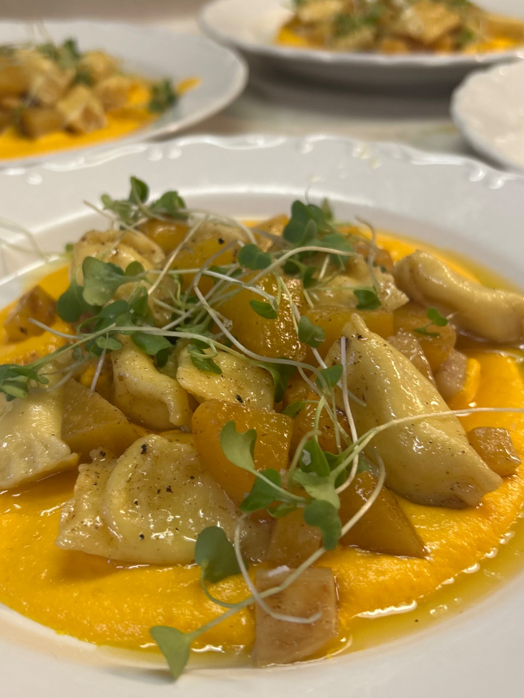 IMG_3097.jpeg IMG_3097.jpeg