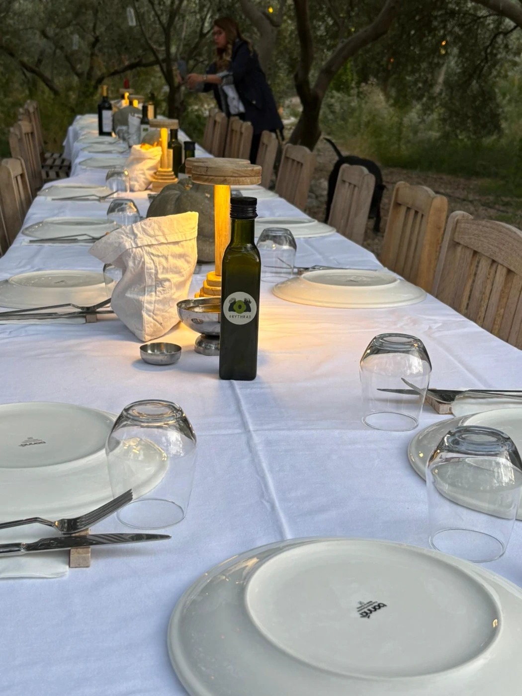 IMG-20241112-WA0007 (1).jpg