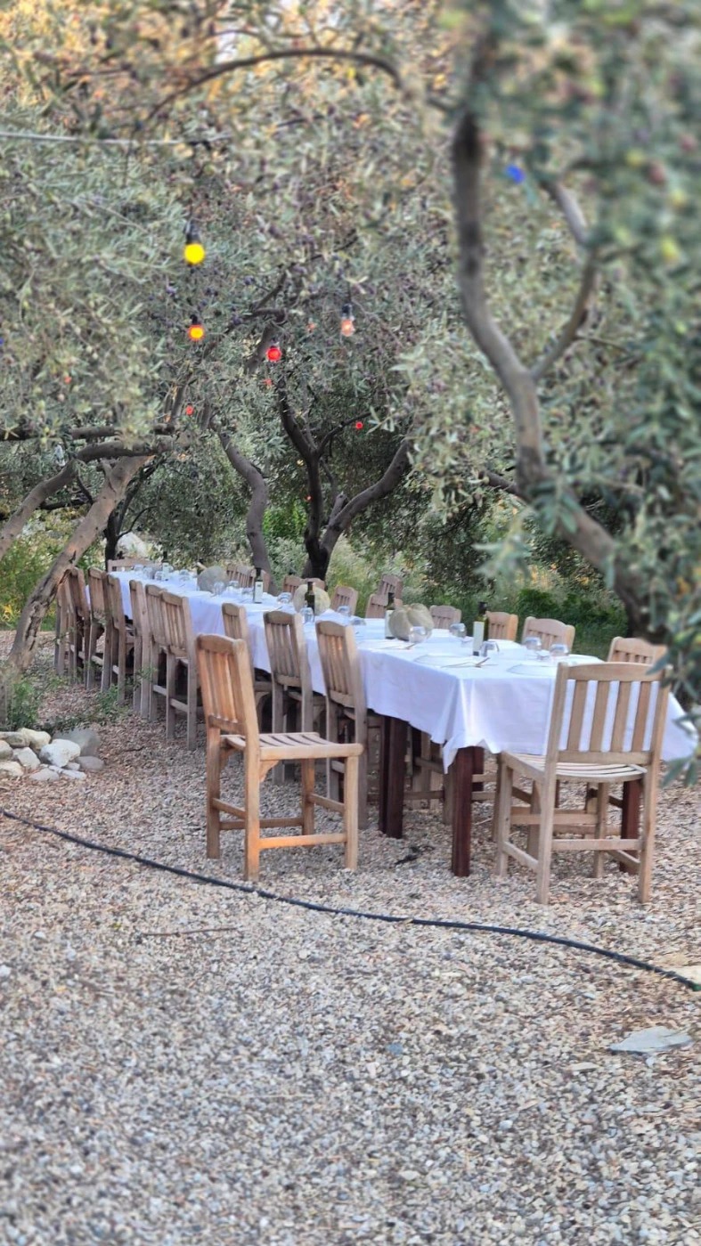 IMG-20241112-WA0003 (2).jpg