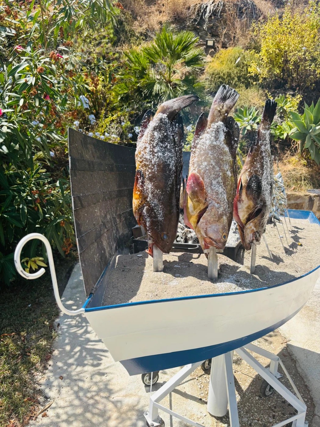 1000329636.jpg 1000329636.jpg