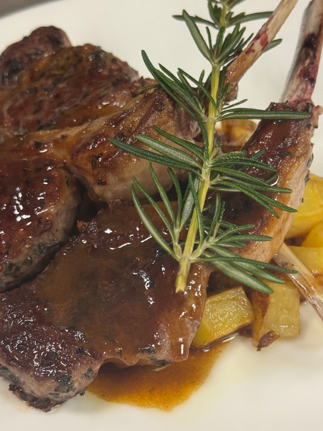 IMG_4610.jpeg IMG_4610.jpeg