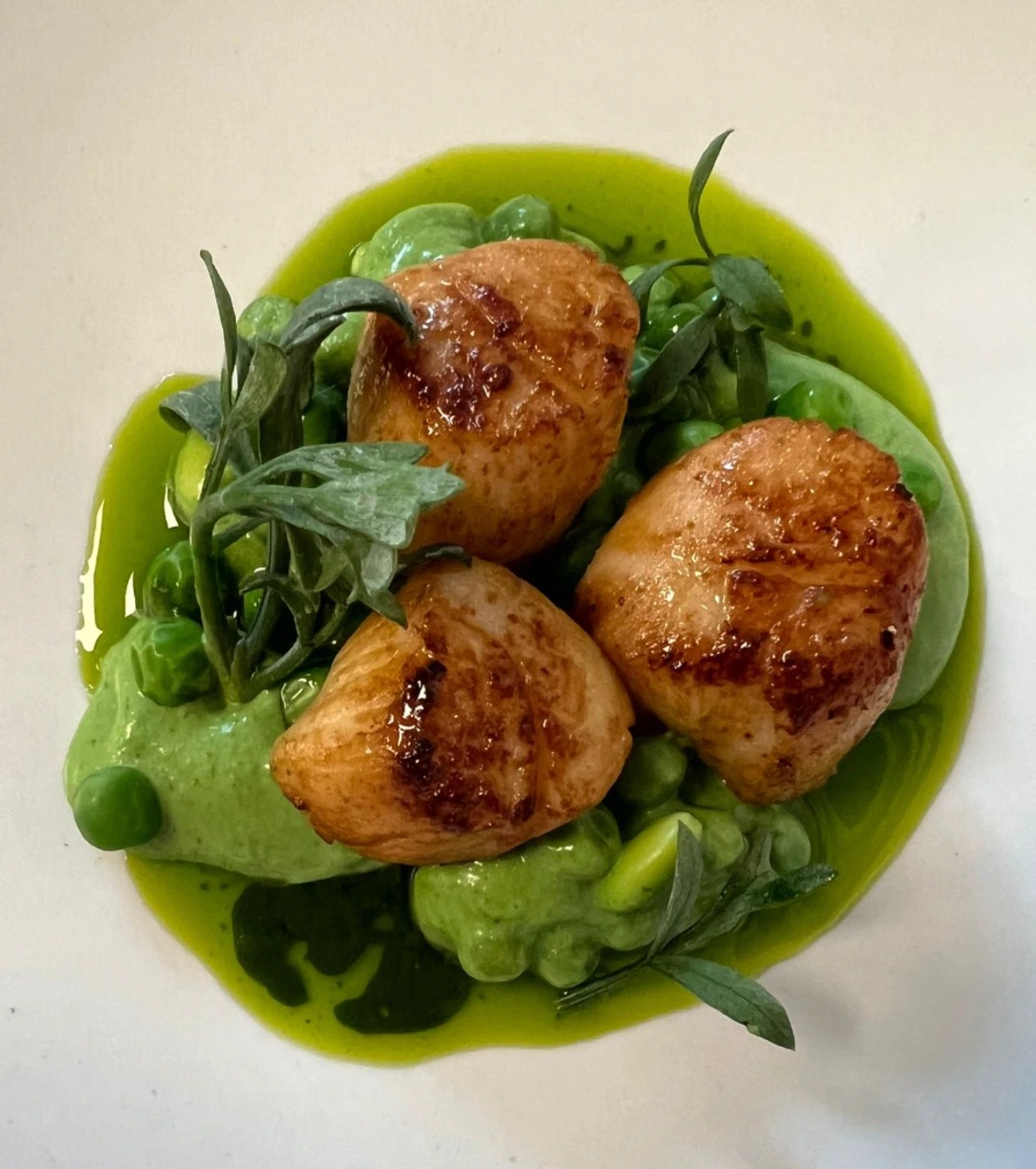 WhatsApp Image 2023-04-12 at 13.49.52.jpeg WhatsApp Image 2023-04-12 at 13.49.52.jpeg