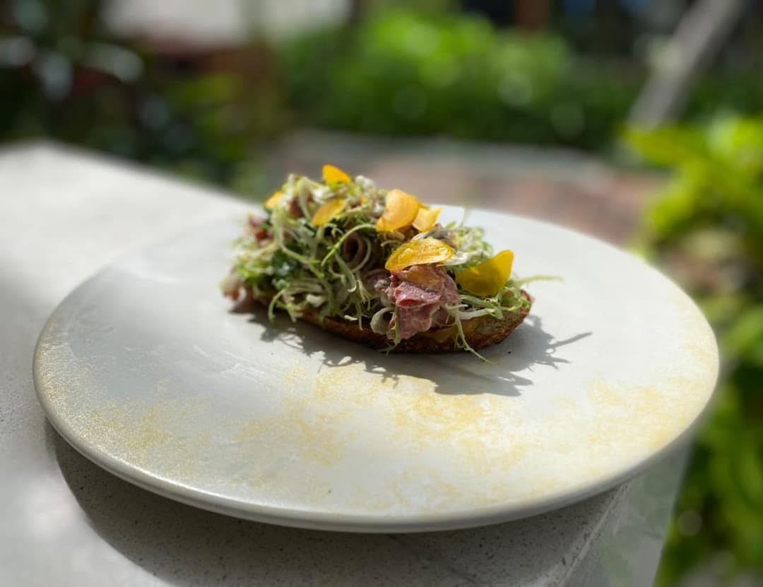 IMG_0342.jpeg IMG_0342.jpeg