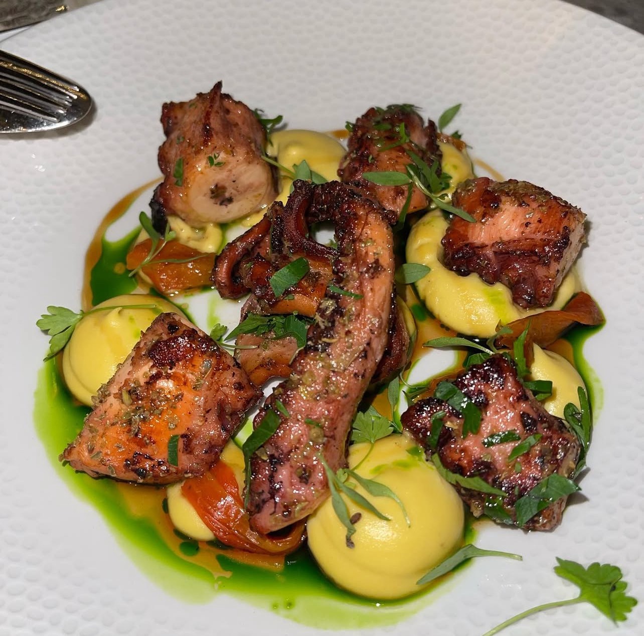 IMG_5792.jpeg IMG_5792.jpeg