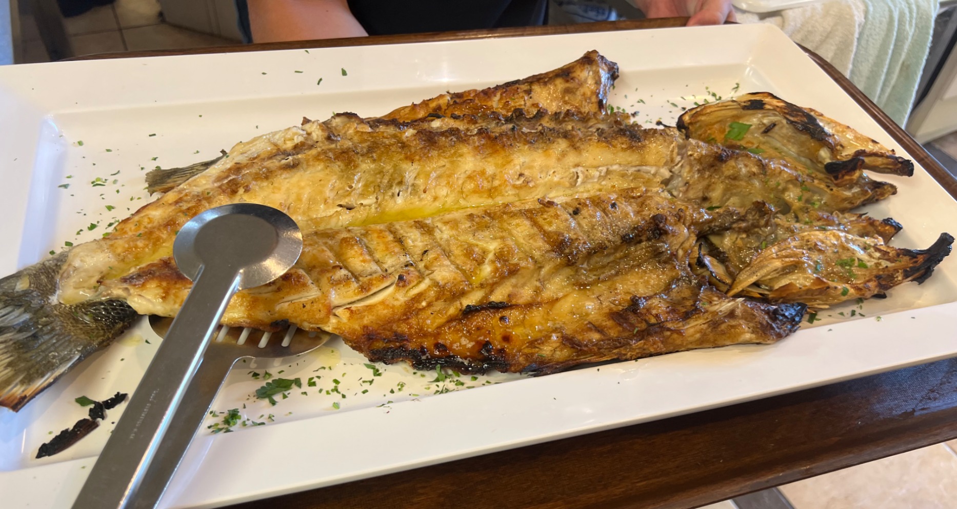 IMG_5697.jpeg IMG_5697.jpeg