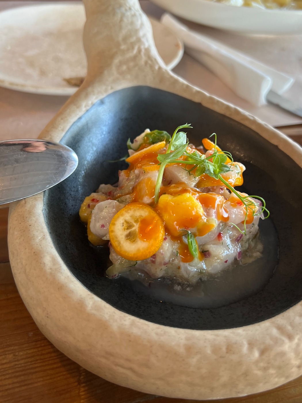 IMG_5601.jpeg IMG_5601.jpeg