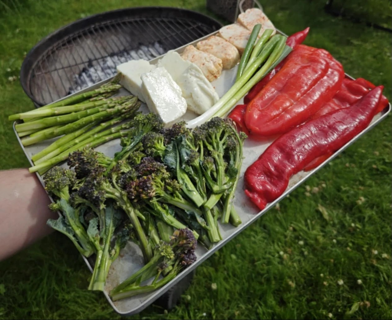 IMG_20250819_141002.jpg IMG_20250819_141002.jpg