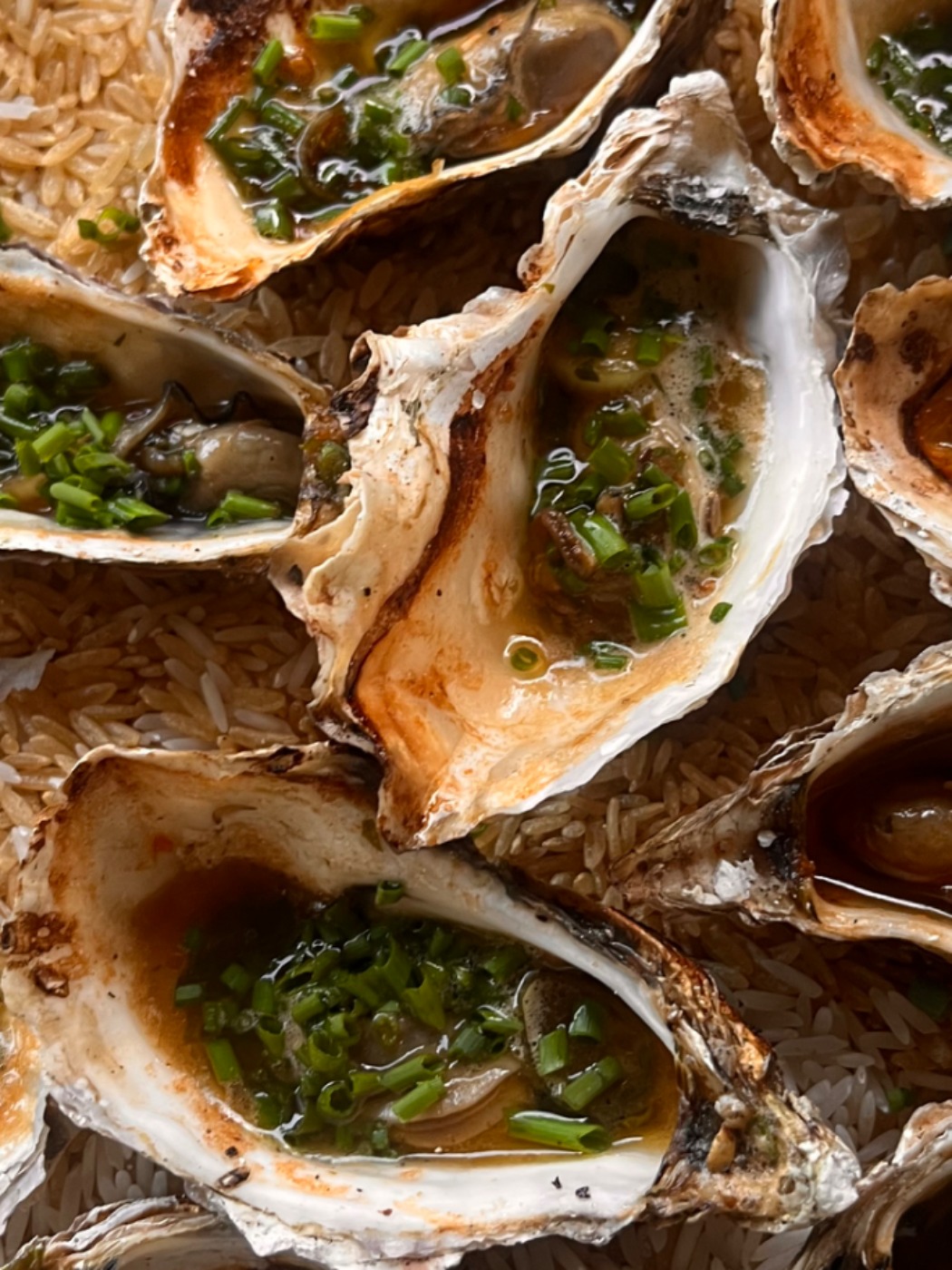 IMG_0917.jpeg IMG_0917.jpeg