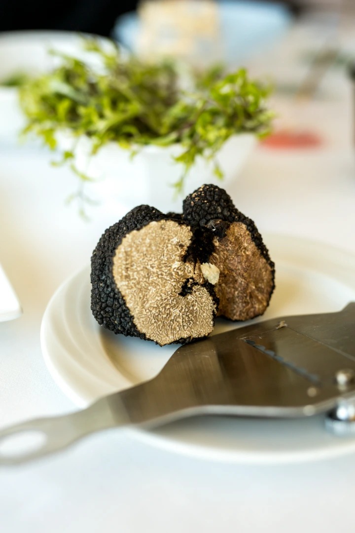 Tartufo