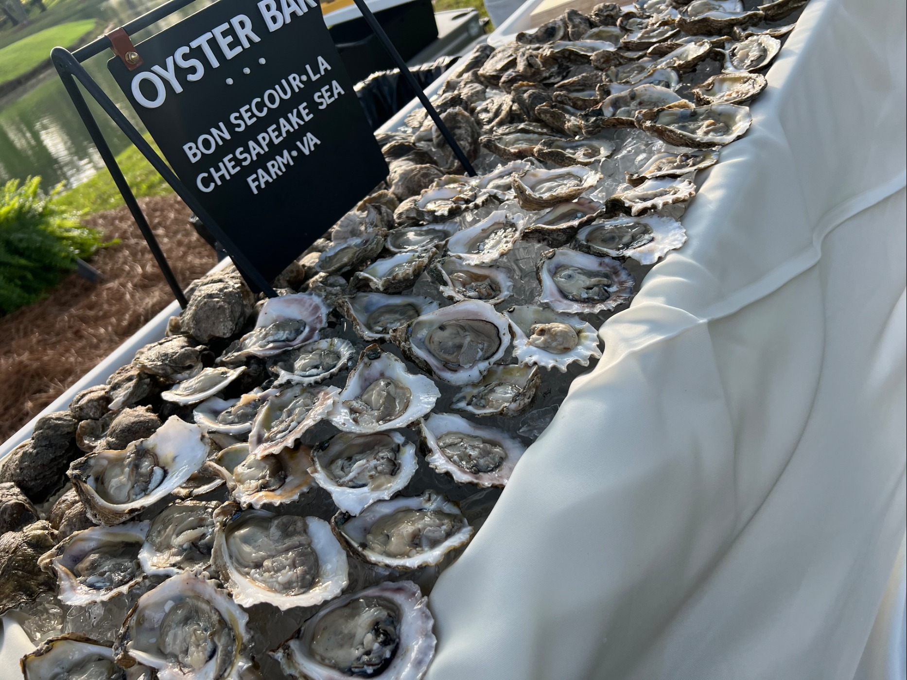 IMG_9122.jpeg IMG_9122.jpeg