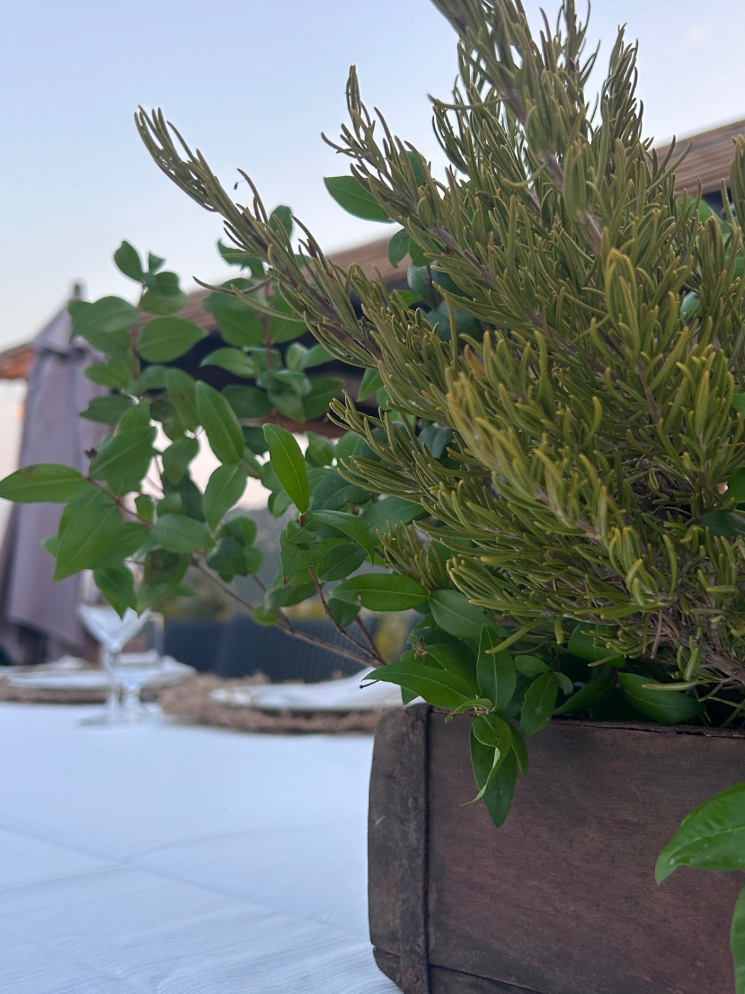 IMG_3578.jpeg IMG_3578.jpeg