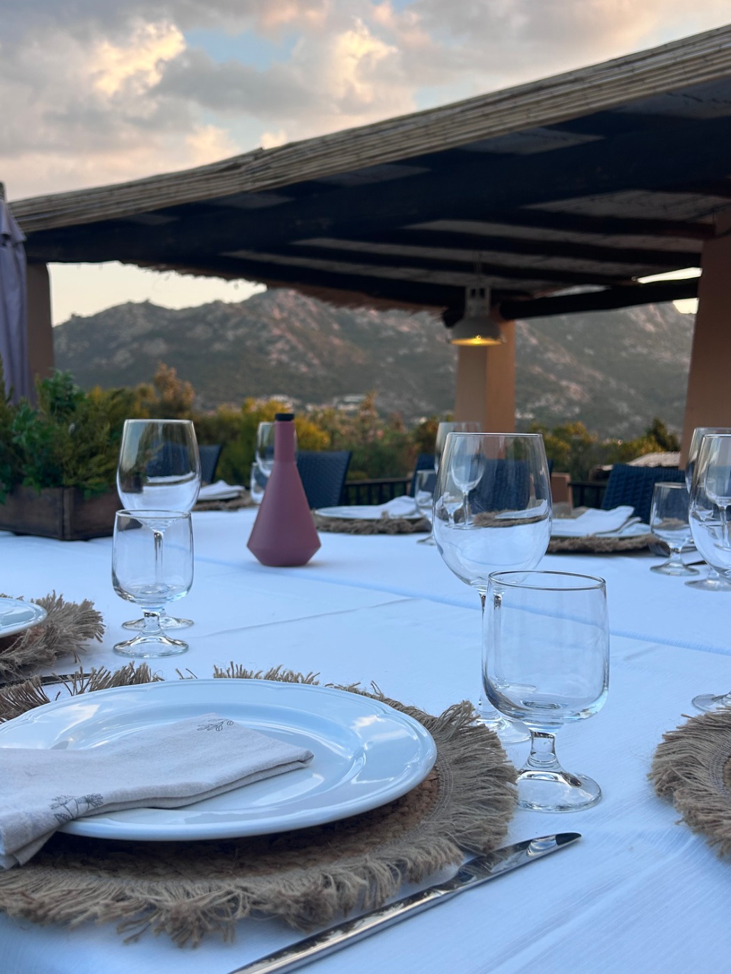 IMG_3557.jpeg IMG_3557.jpeg