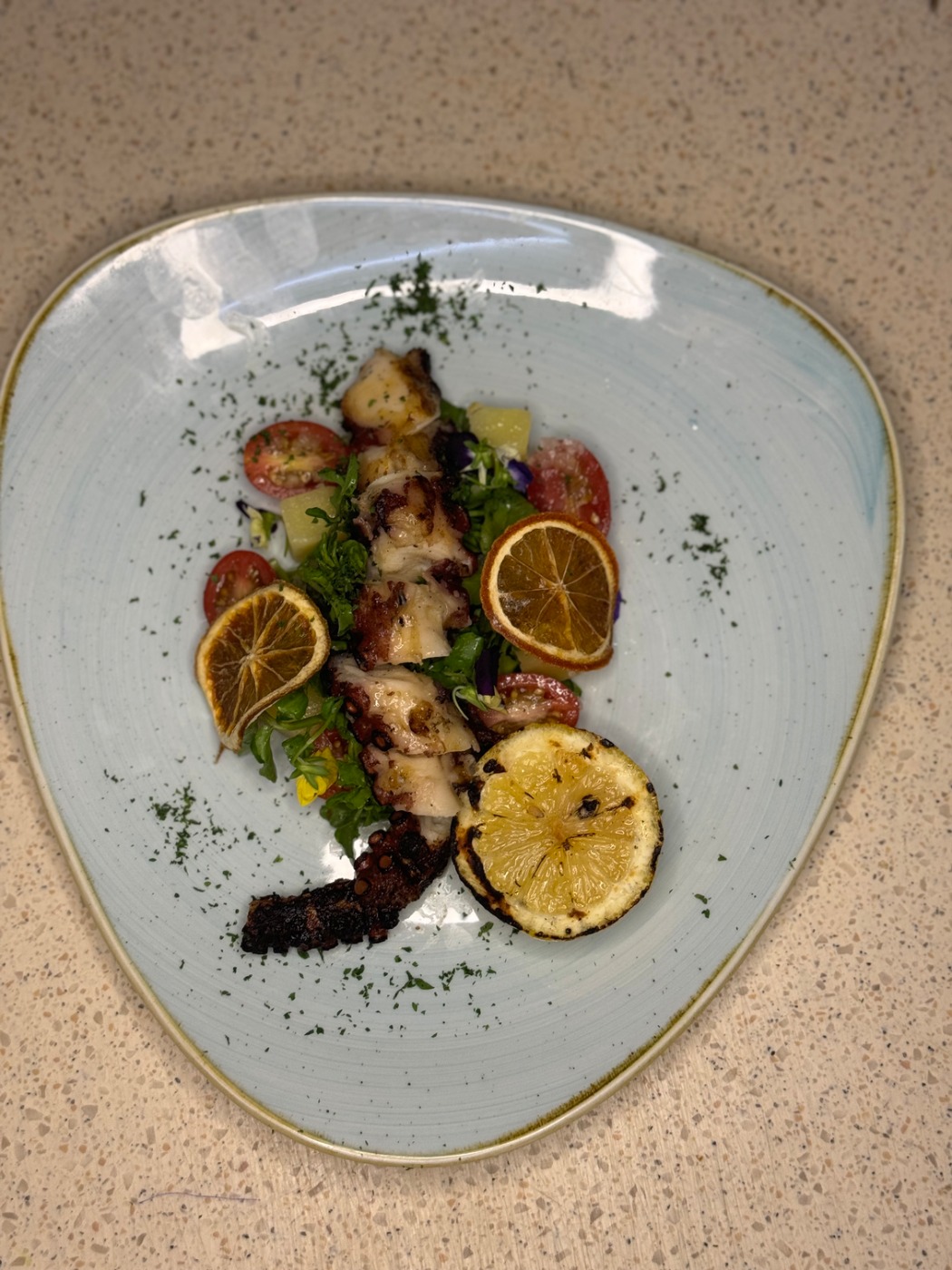 IMG_6250.jpeg IMG_6250.jpeg