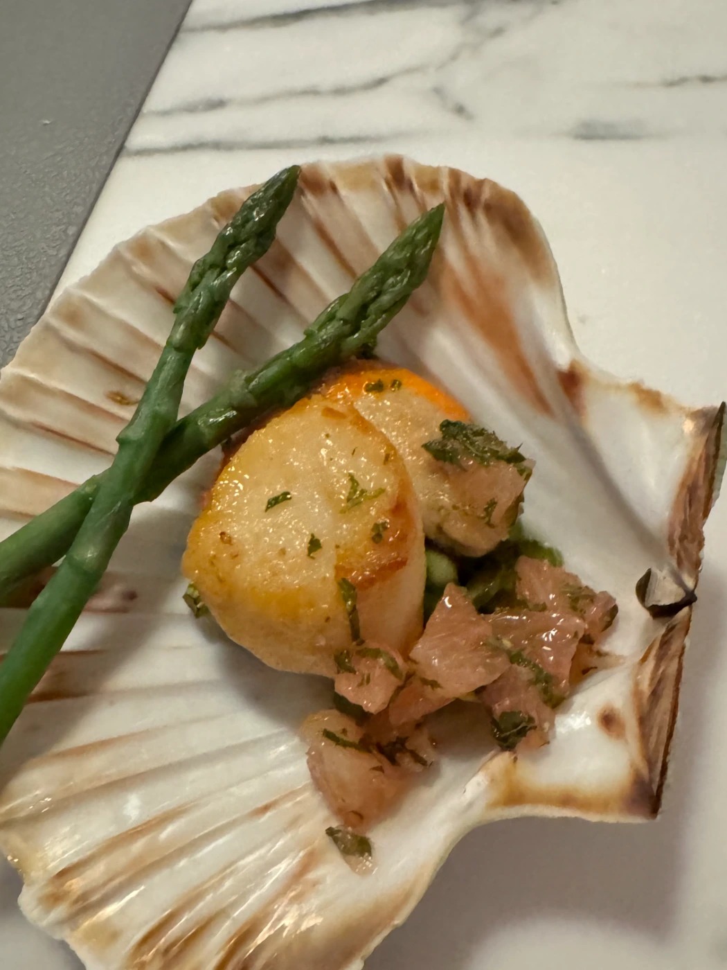 IMG_9778.jpeg IMG_9778.jpeg