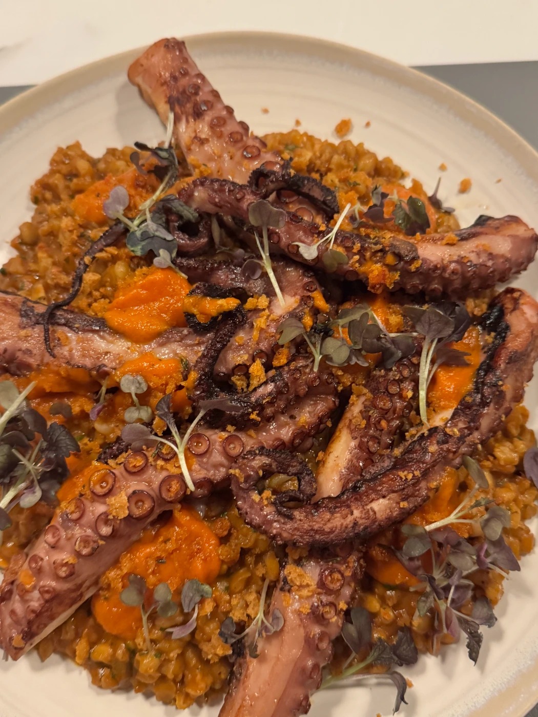 IMG_9780.jpeg IMG_9780.jpeg