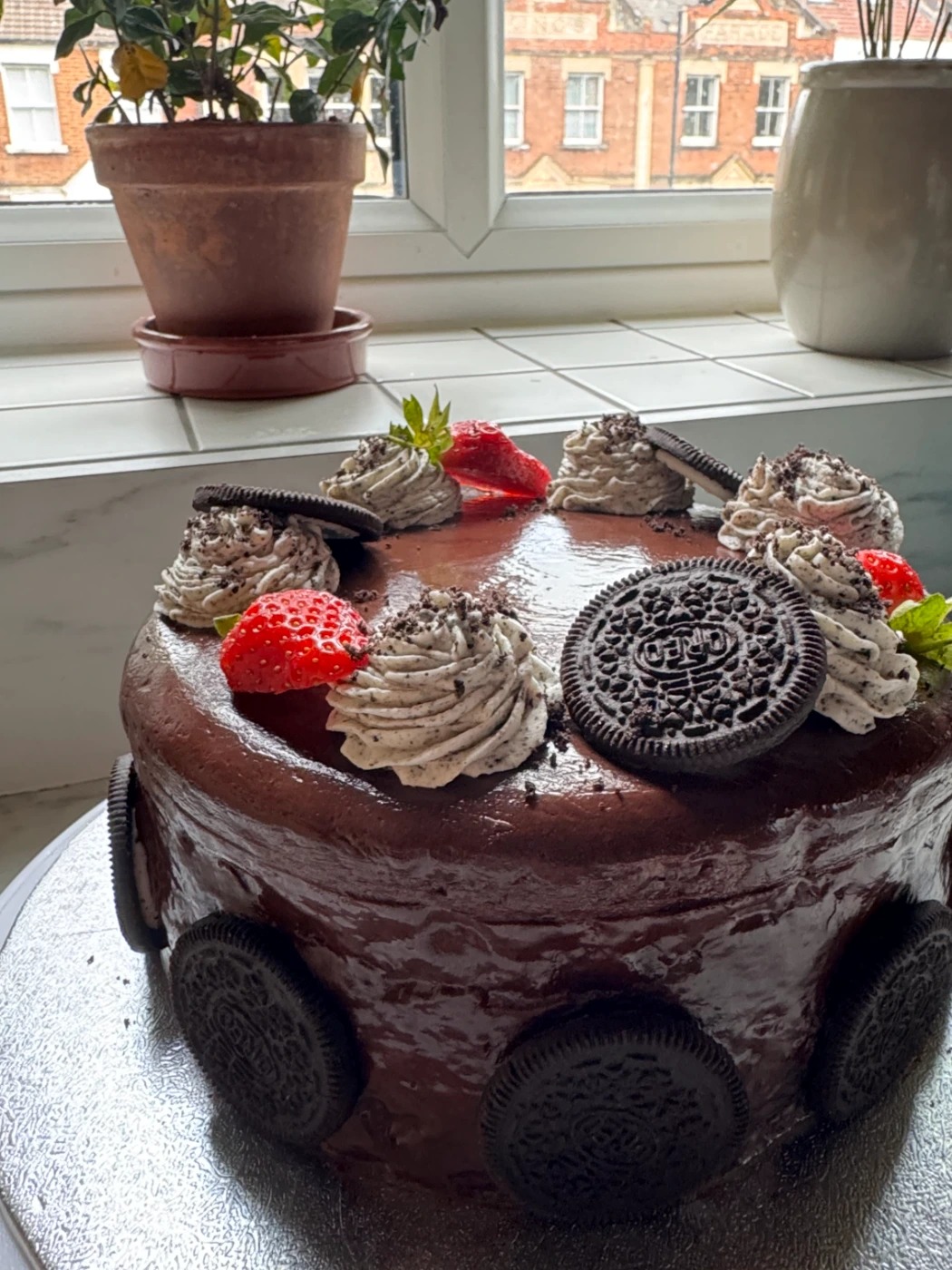 IMG_6195.jpeg IMG_6195.jpeg