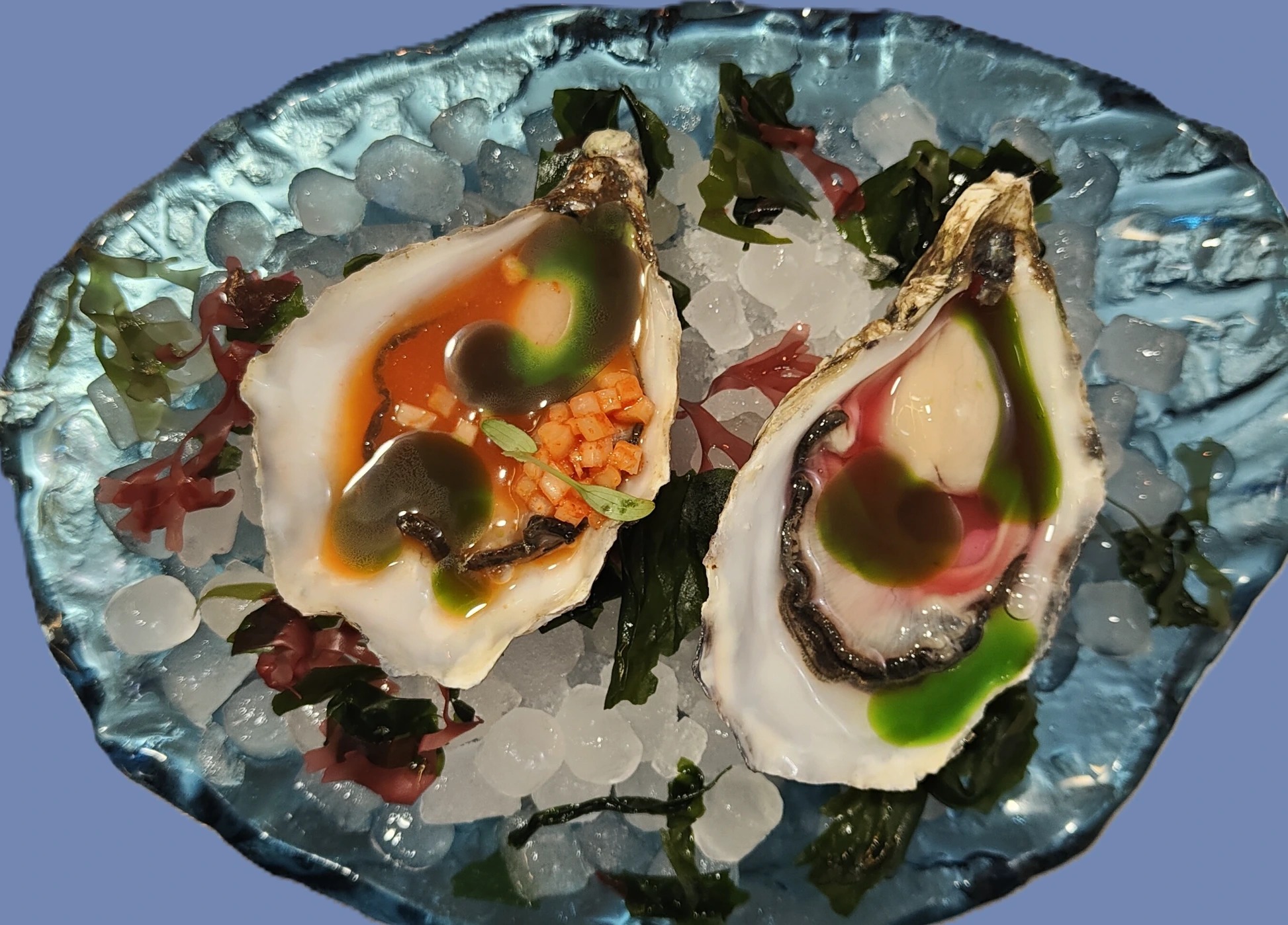 IMG20250817233016.jpg IMG20250817233016.jpg