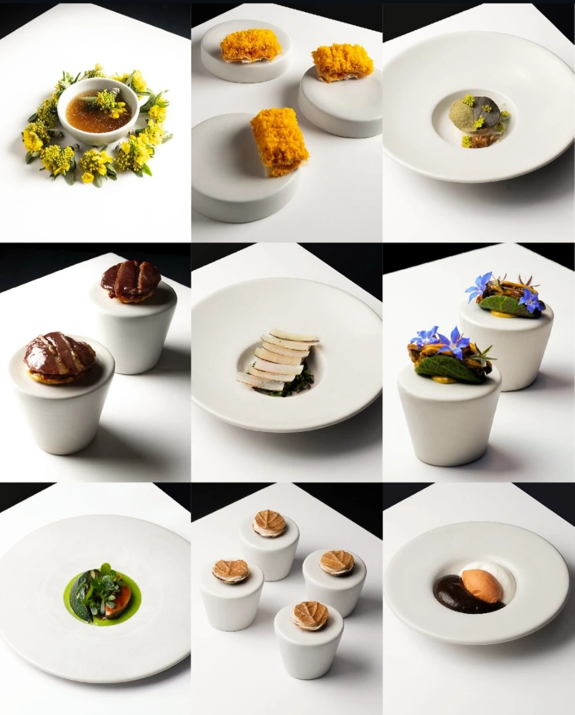 1000040050.jpg 1000040050.jpg