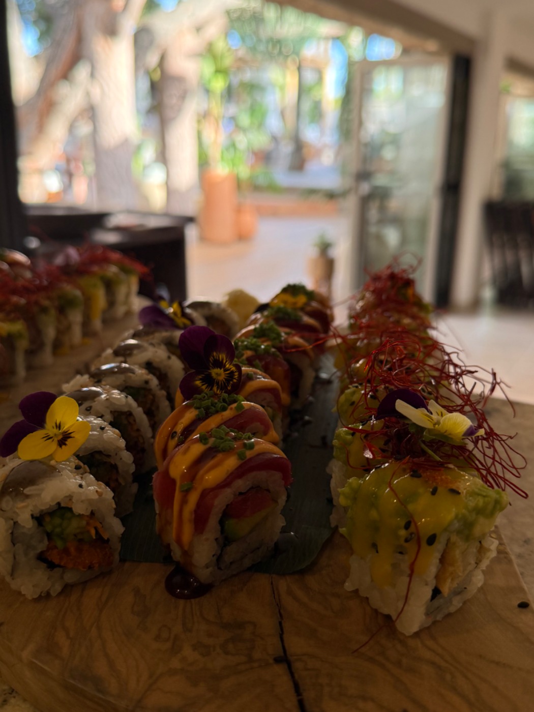 IMG_0012.jpeg IMG_0012.jpeg