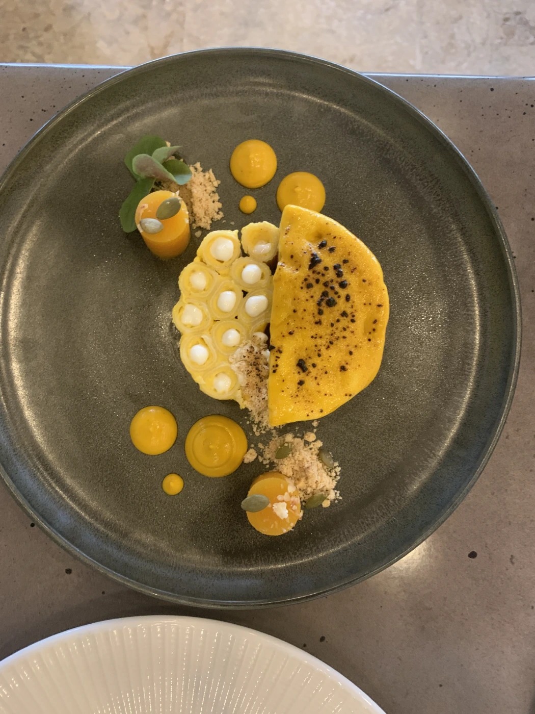 thumbnail_IMG_9653.jpg thumbnail_IMG_9653.jpg