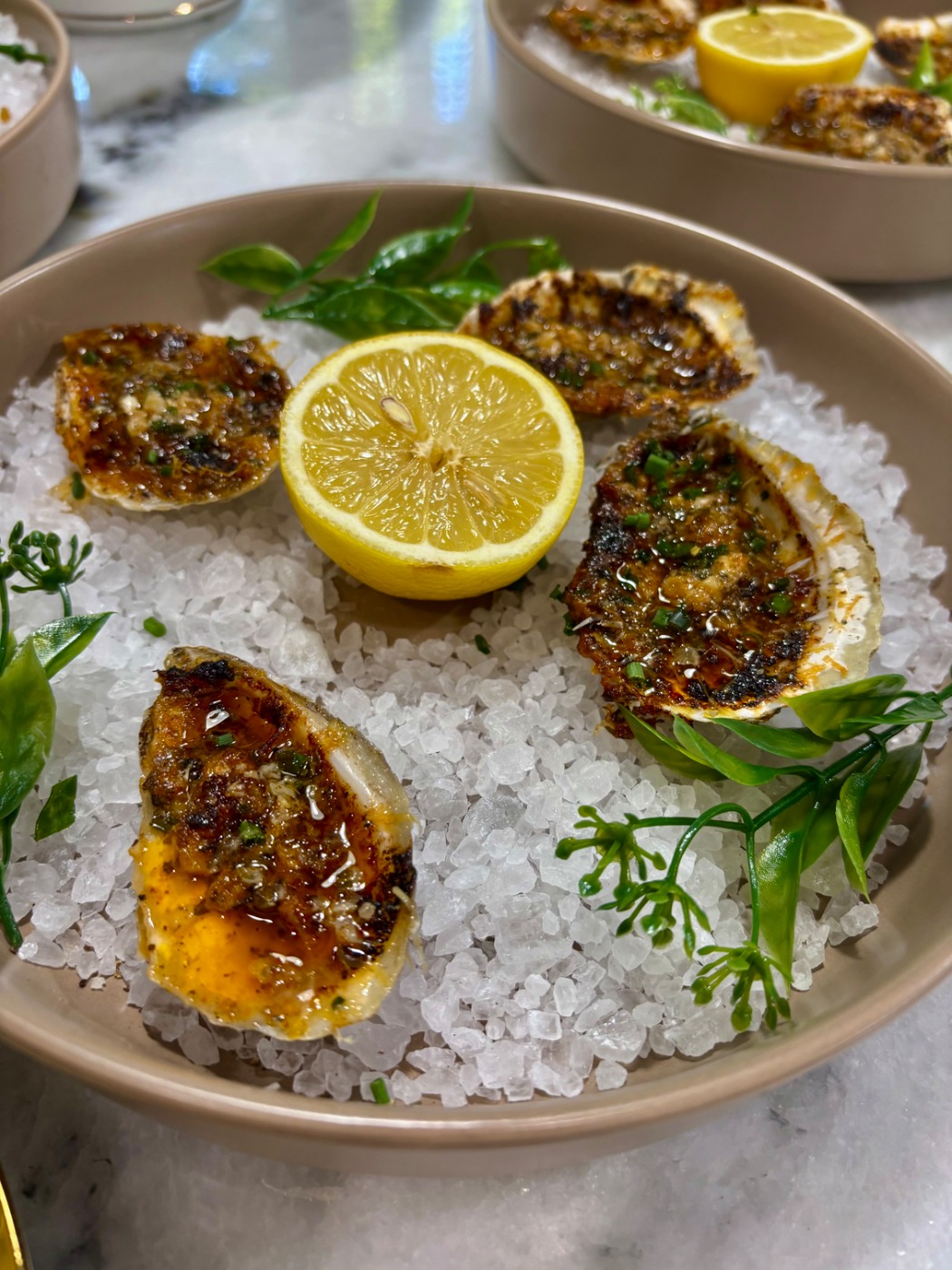 IMG_2358.jpeg IMG_2358.jpeg