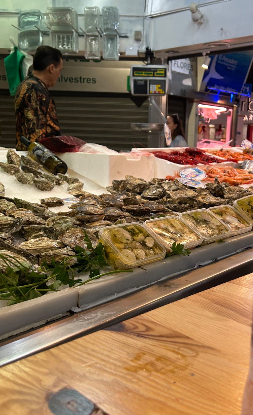 IMG_0806.jpeg IMG_0806.jpeg