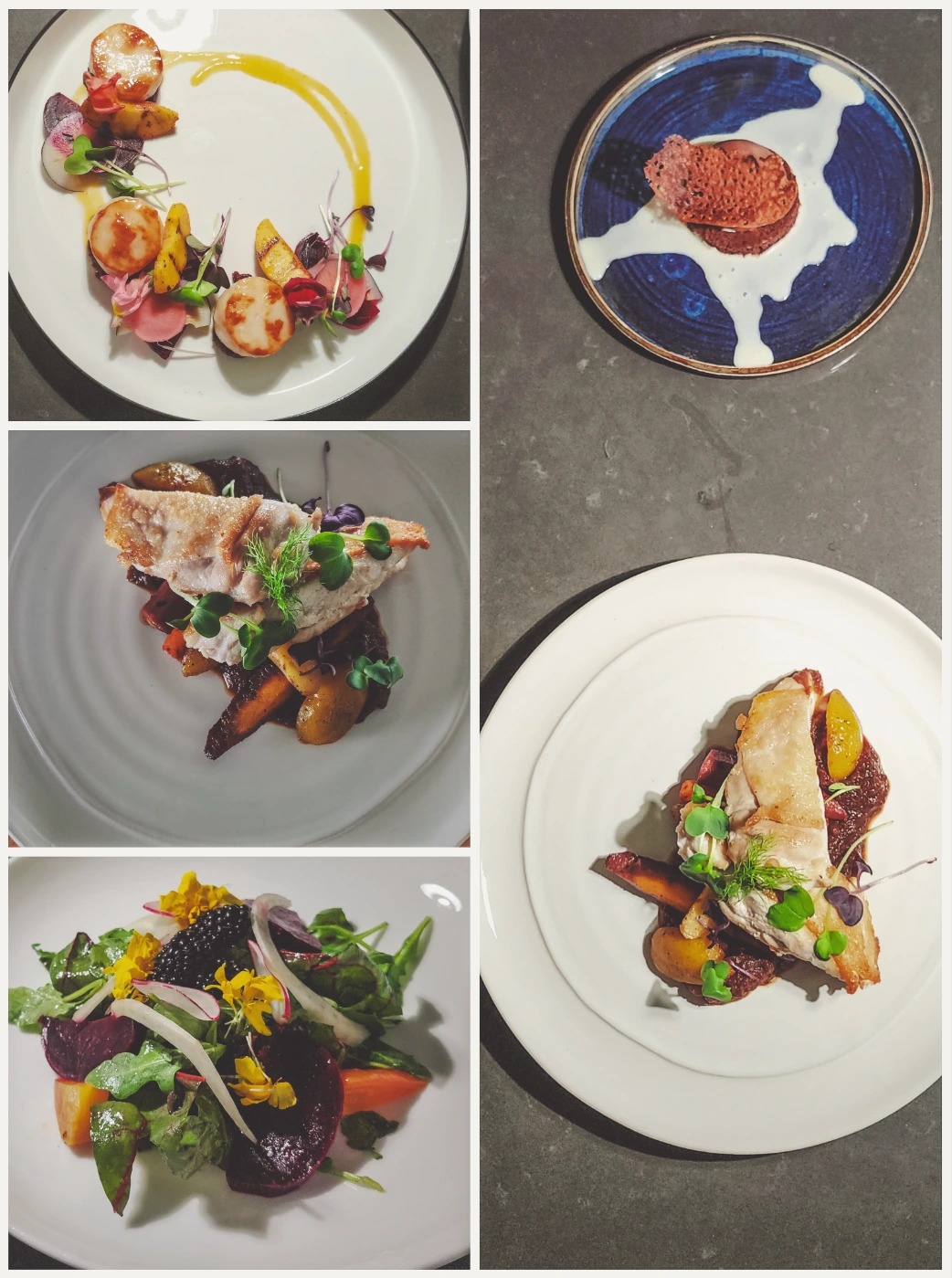 PSX_20250816_153039.jpg PSX_20250816_153039.jpg