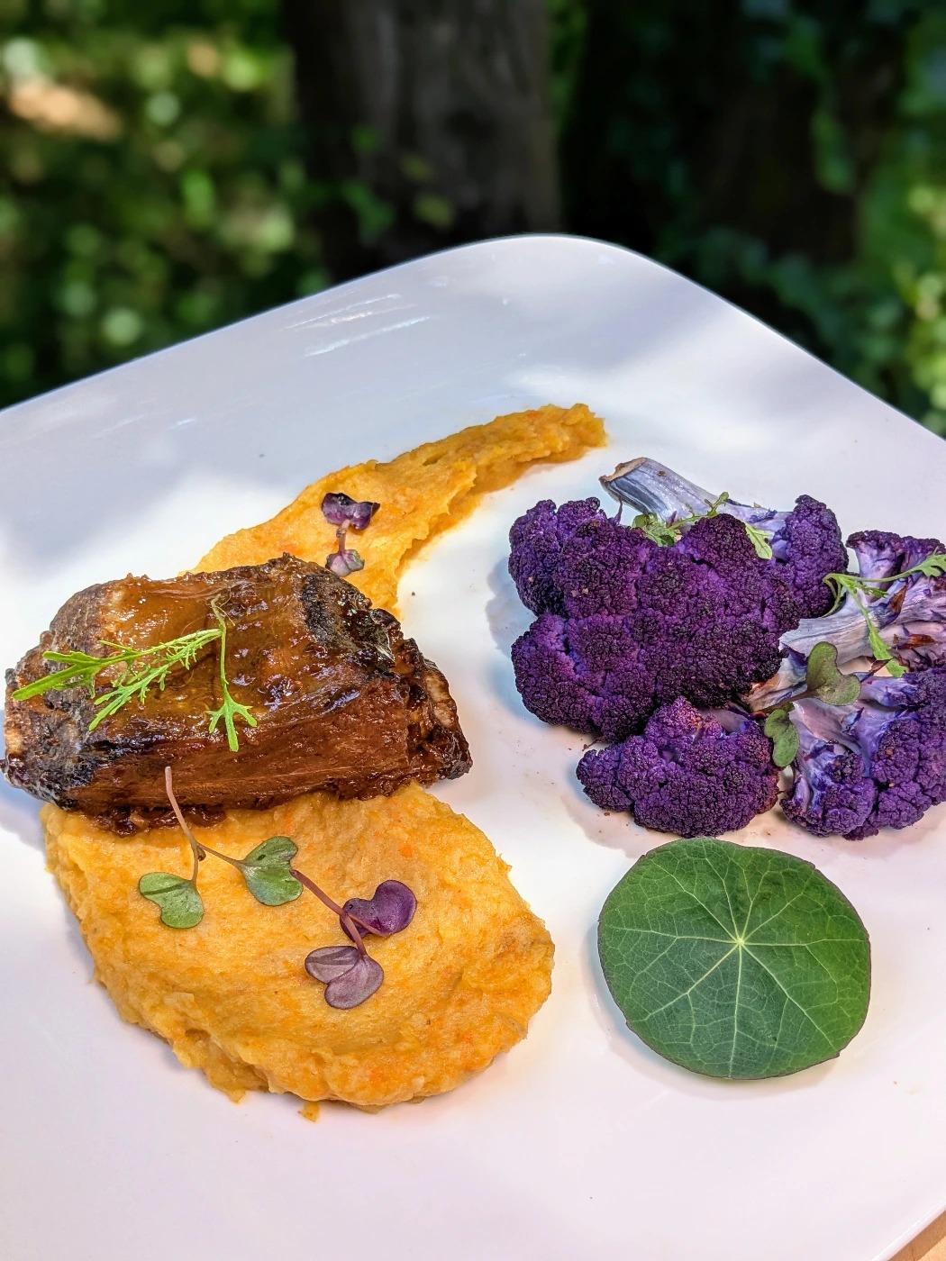 bison short ribs on golden carrot puree with purple cauliflowers microgreens.jpg