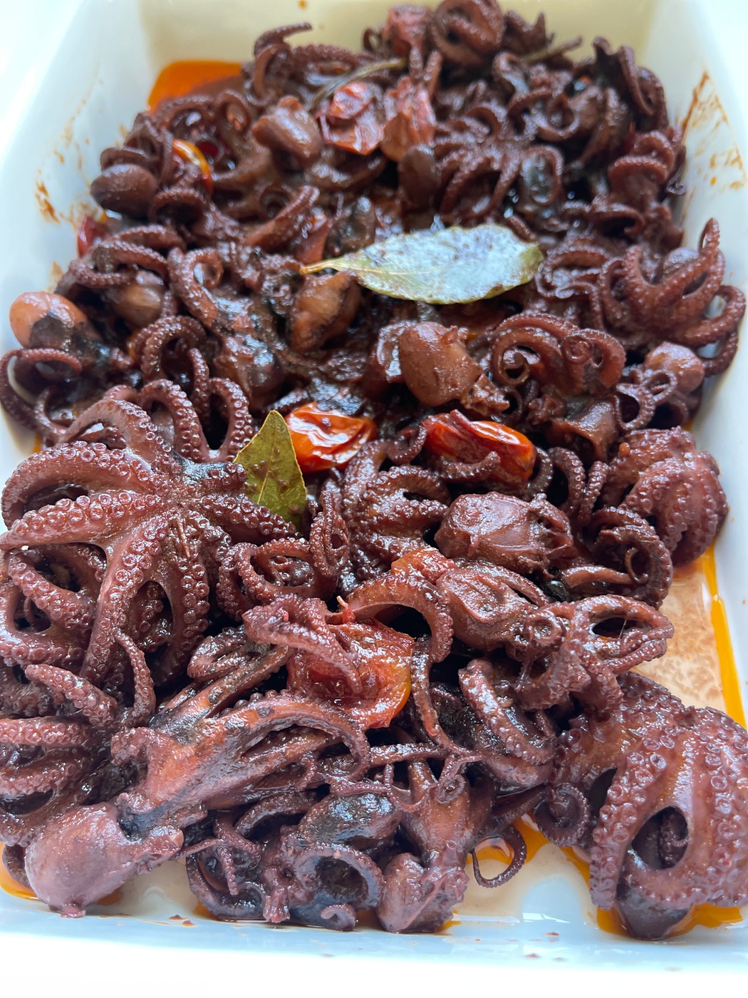 IMG_3596.jpeg IMG_3596.jpeg