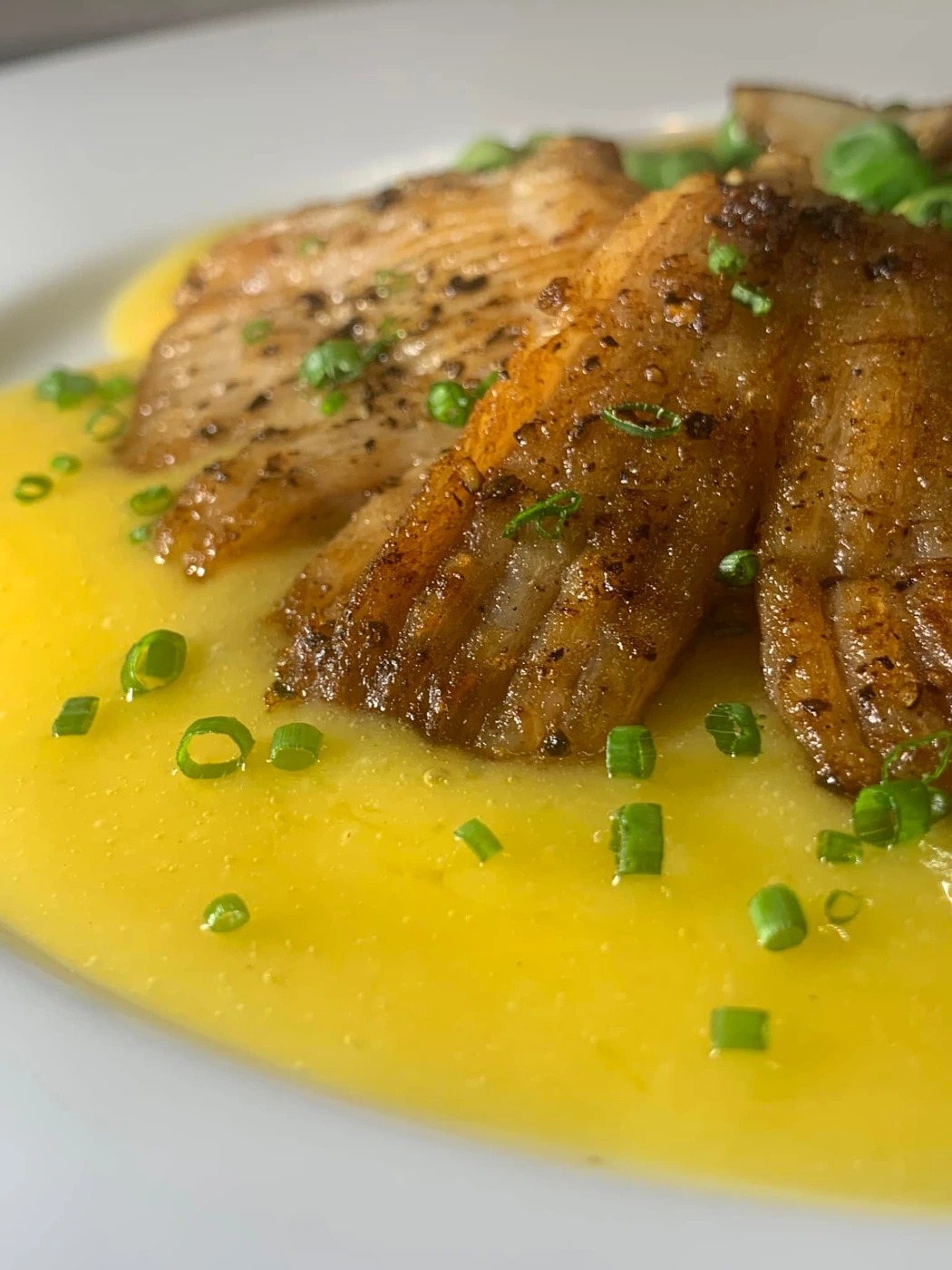 491955021_10236432200894140_6761871604380535952_n.jpg 491955021_10236432200894140_6761871604380535952_n.jpg