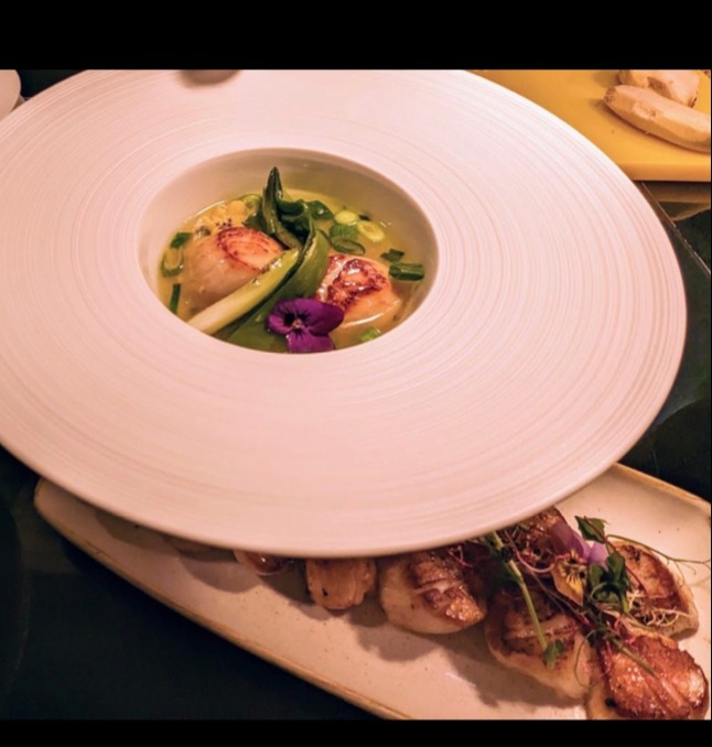 IMG_3590.png IMG_3590.png