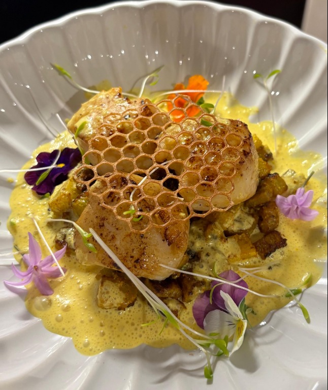 IMG_3584.png IMG_3584.png