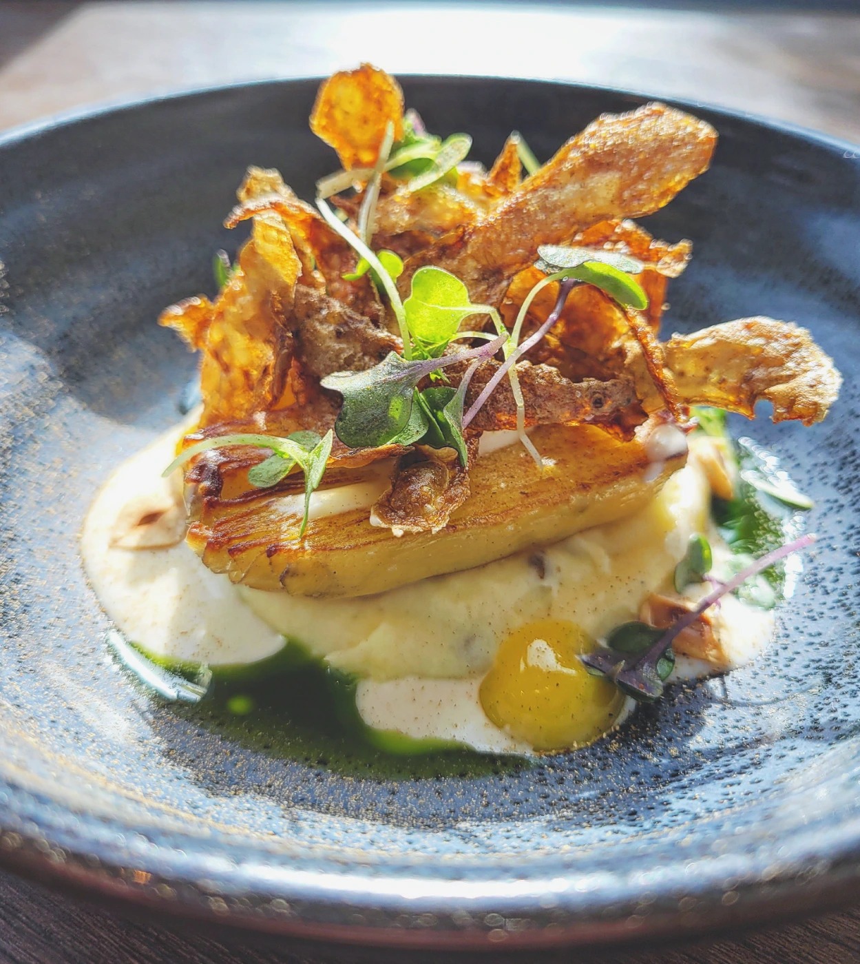 IMG_20220910_170011_359.jpg IMG_20220910_170011_359.jpg