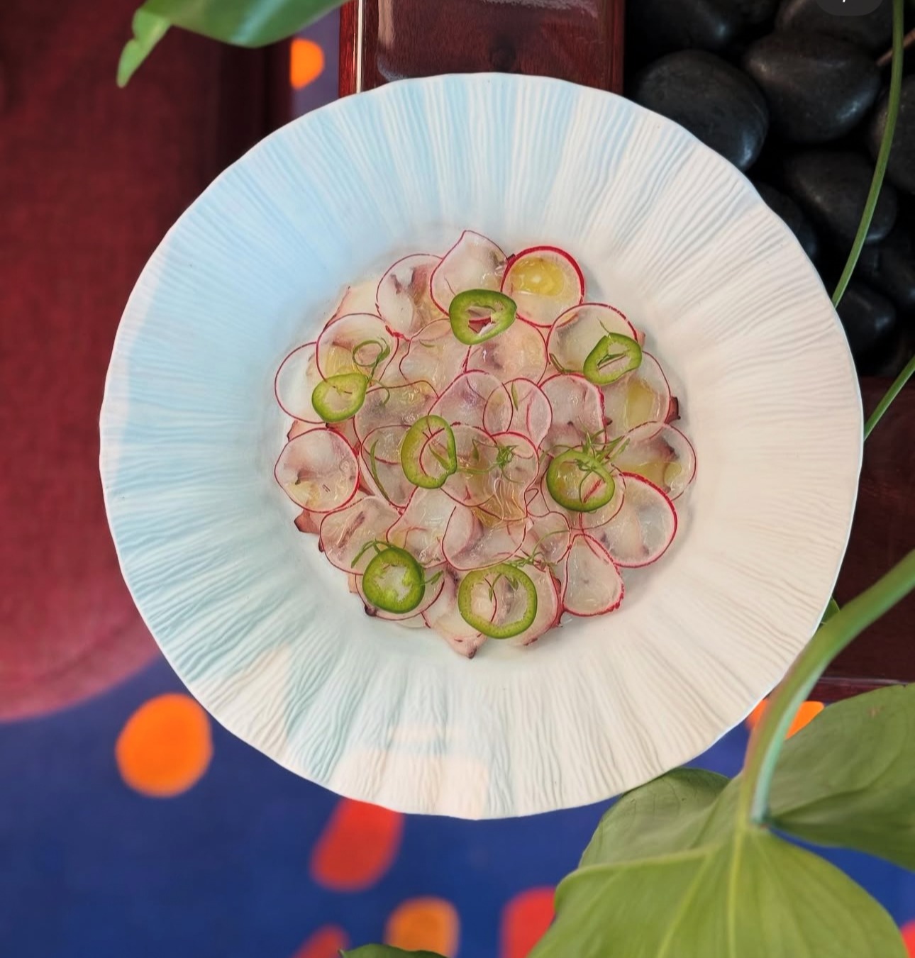 IMG_0627.jpg IMG_0627.jpg