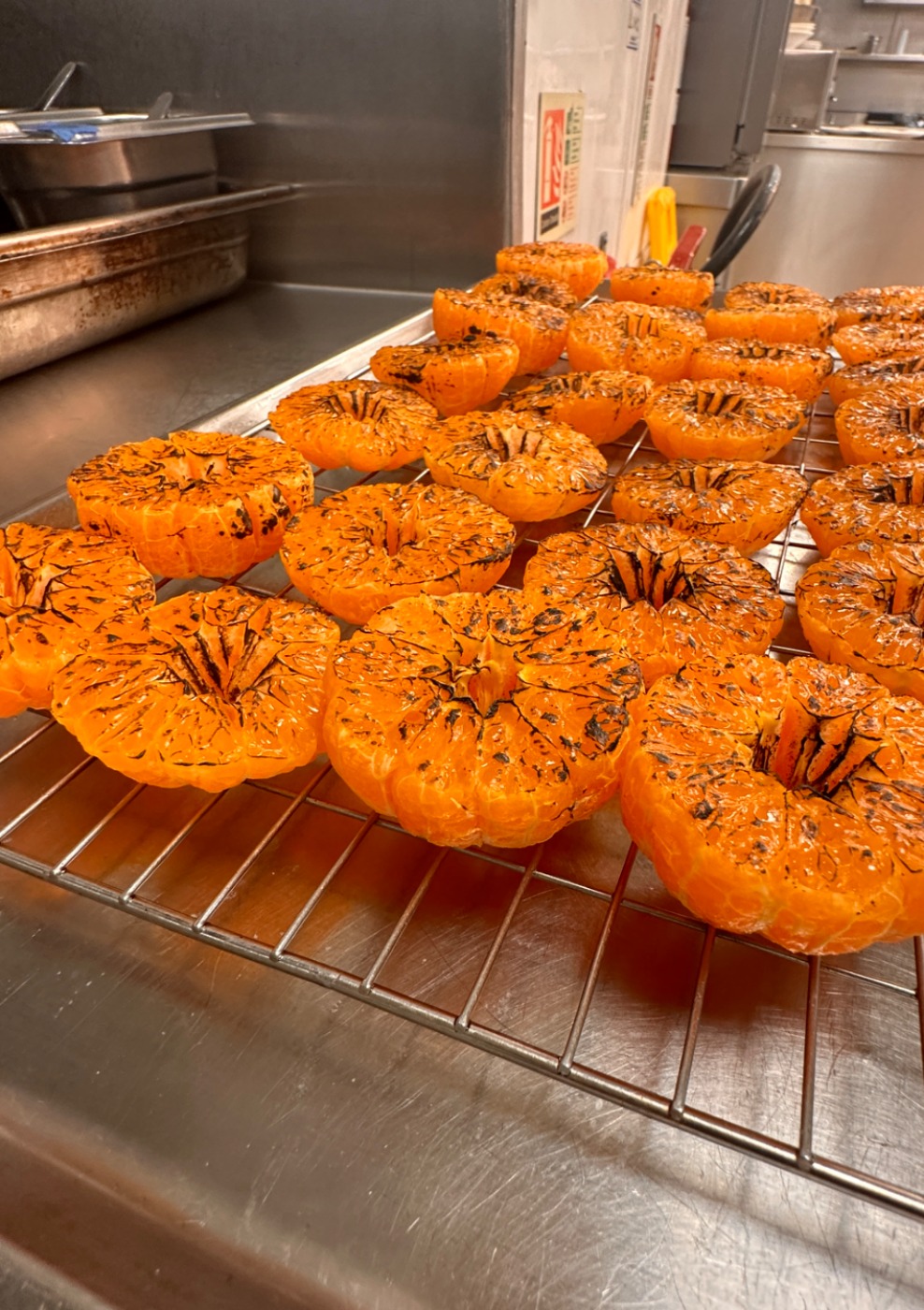 IMG_0143.jpeg IMG_0143.jpeg