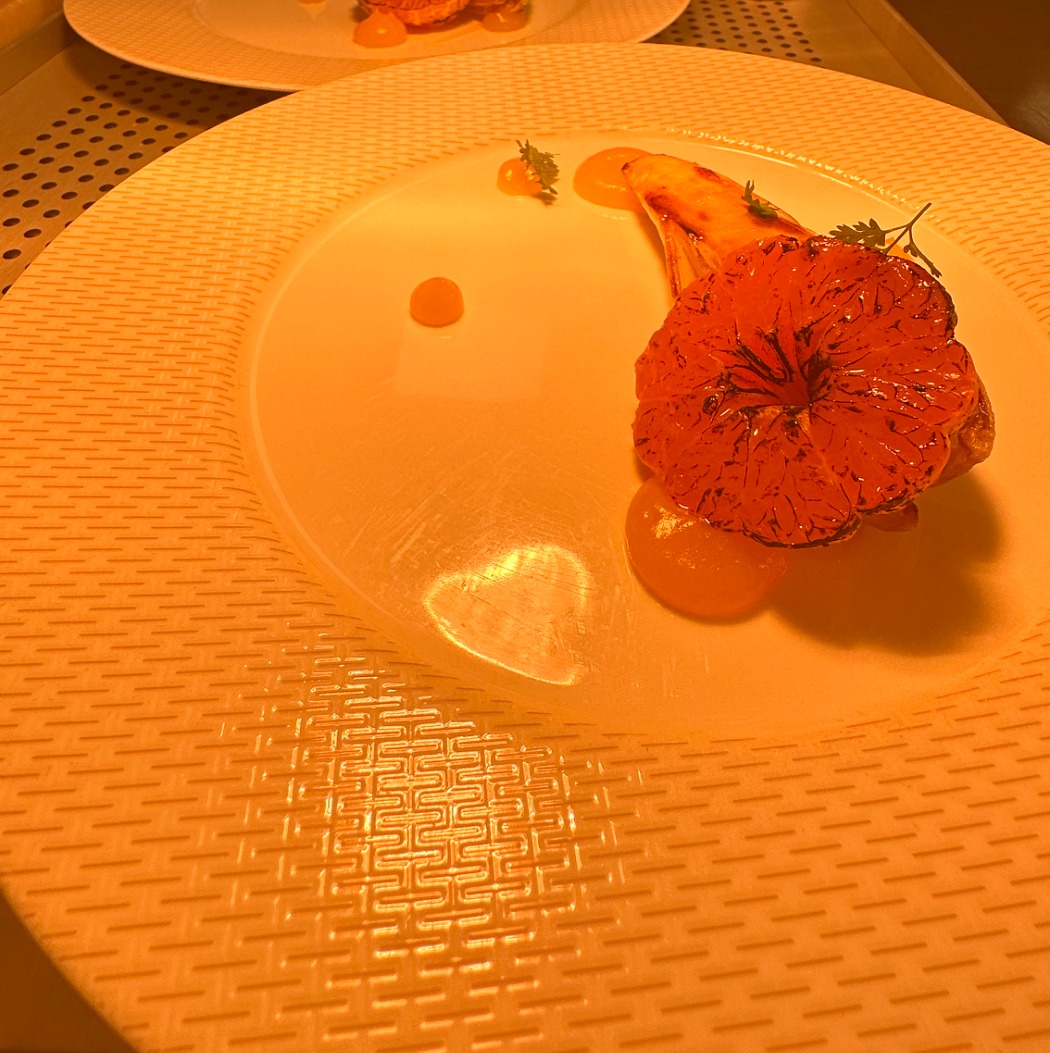 IMG_0121.jpeg IMG_0121.jpeg