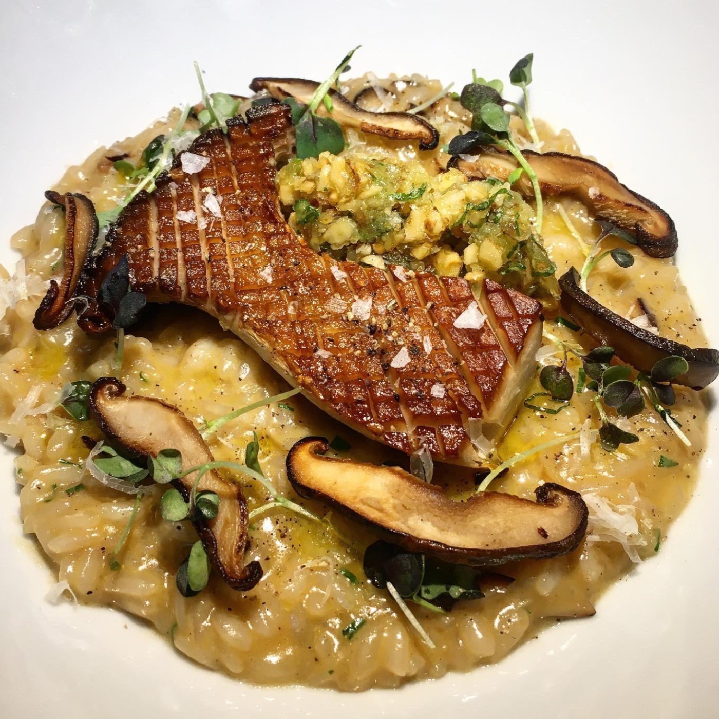 IMG_0093.jpeg IMG_0093.jpeg