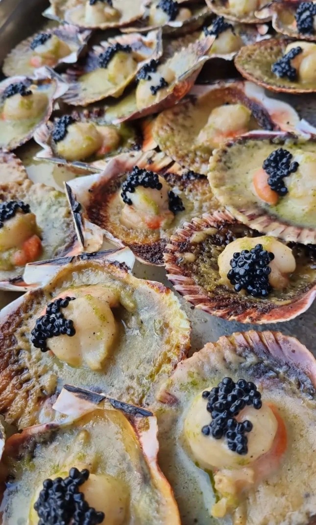 WhatsApp Image 2025-08-27 at 16.46.10 (5).jpeg