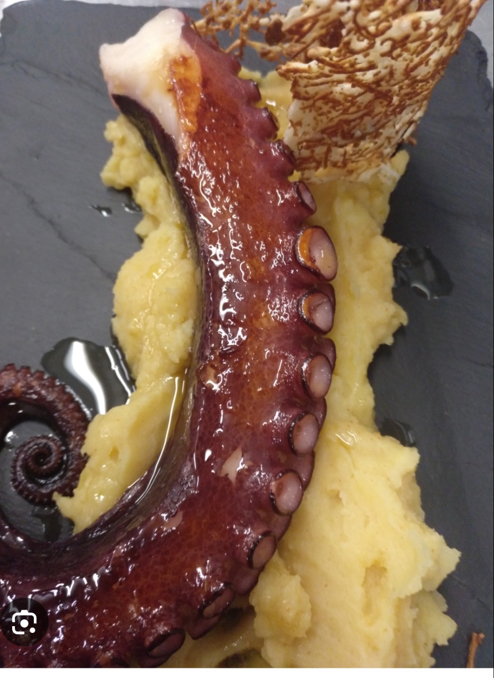 IMG_5475.jpeg IMG_5475.jpeg