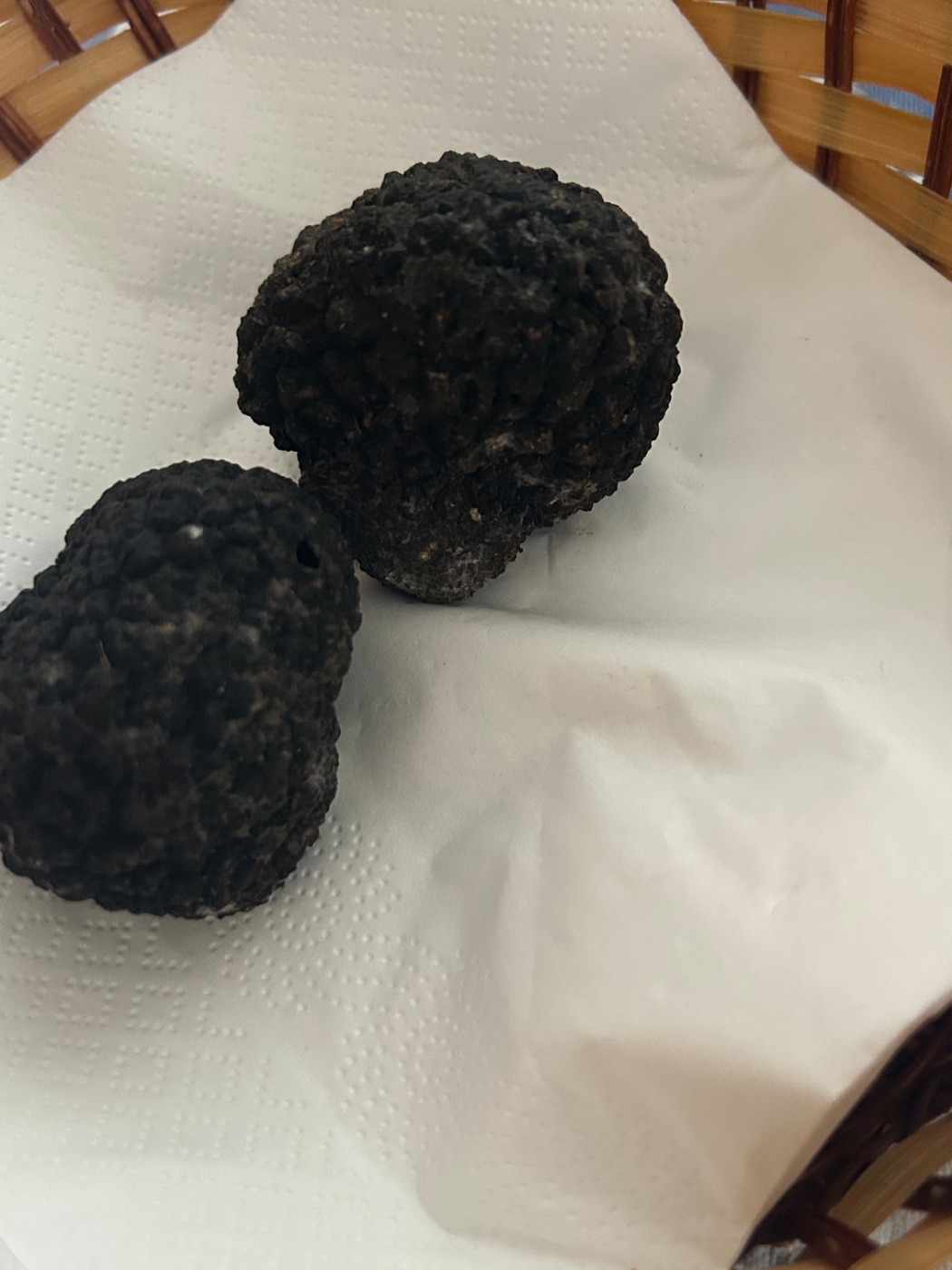 IMG_0893.jpeg IMG_0893.jpeg