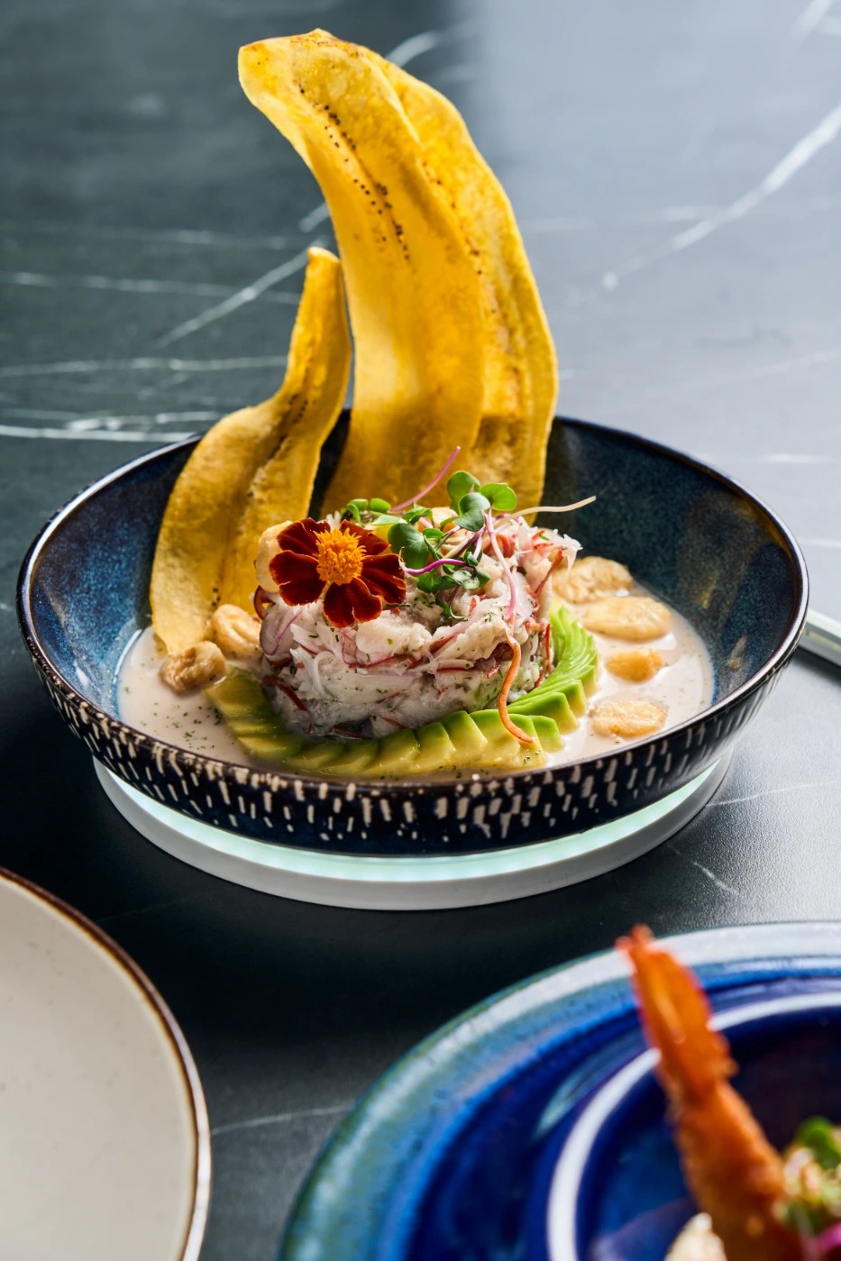 DSC09331.jpg DSC09331.jpg