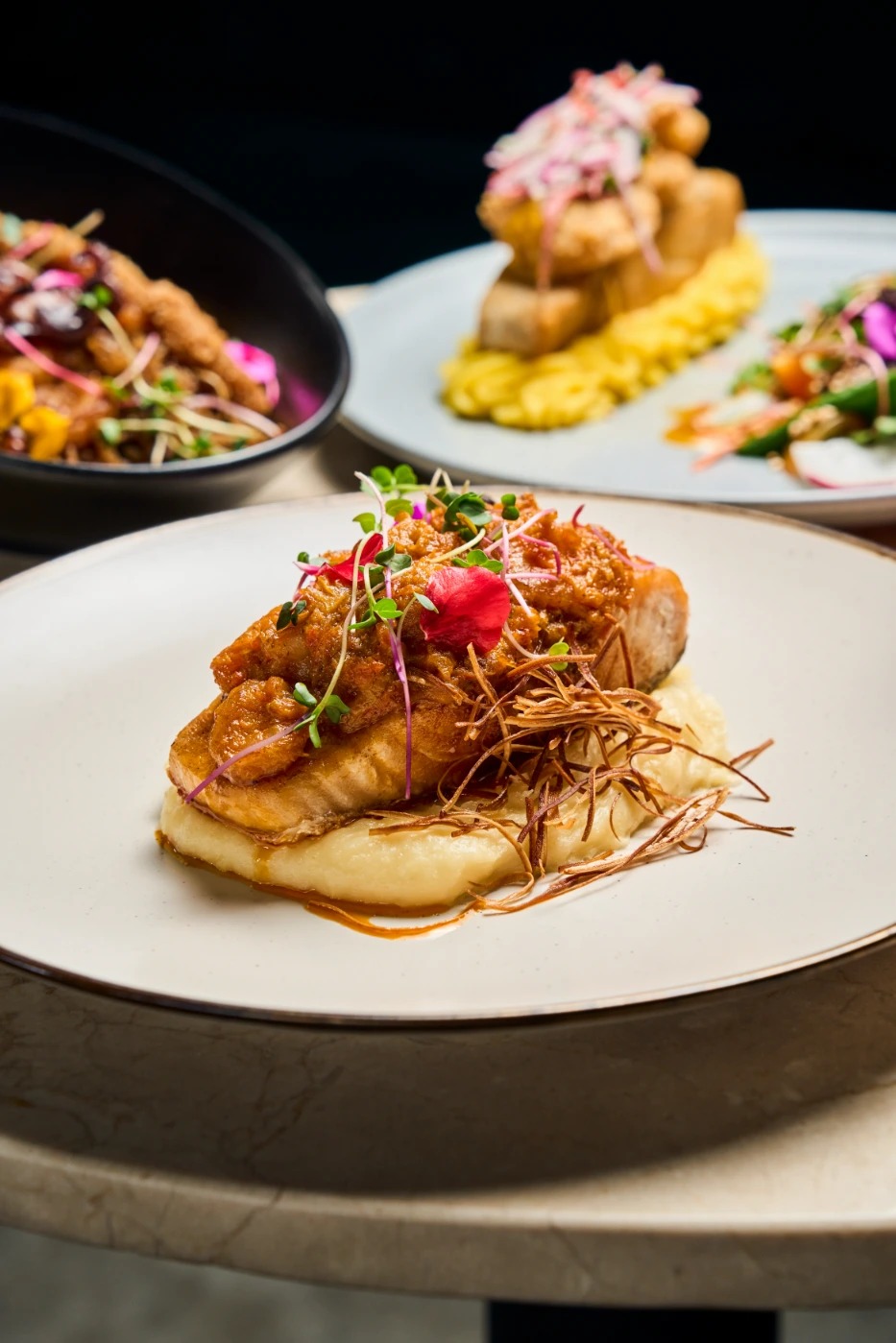 DSC09503.jpg DSC09503.jpg