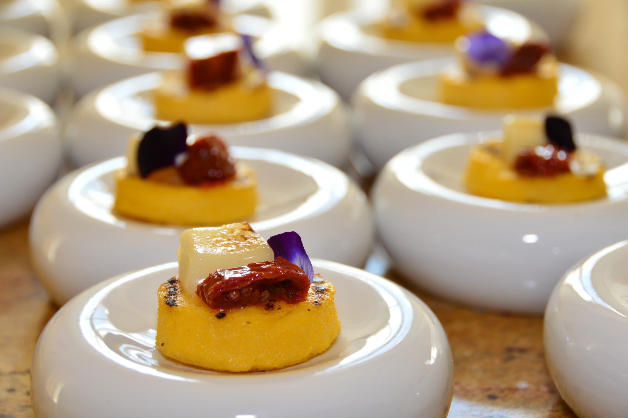 DSC_0081 (2025-05-22T22_03_28.017).JPG