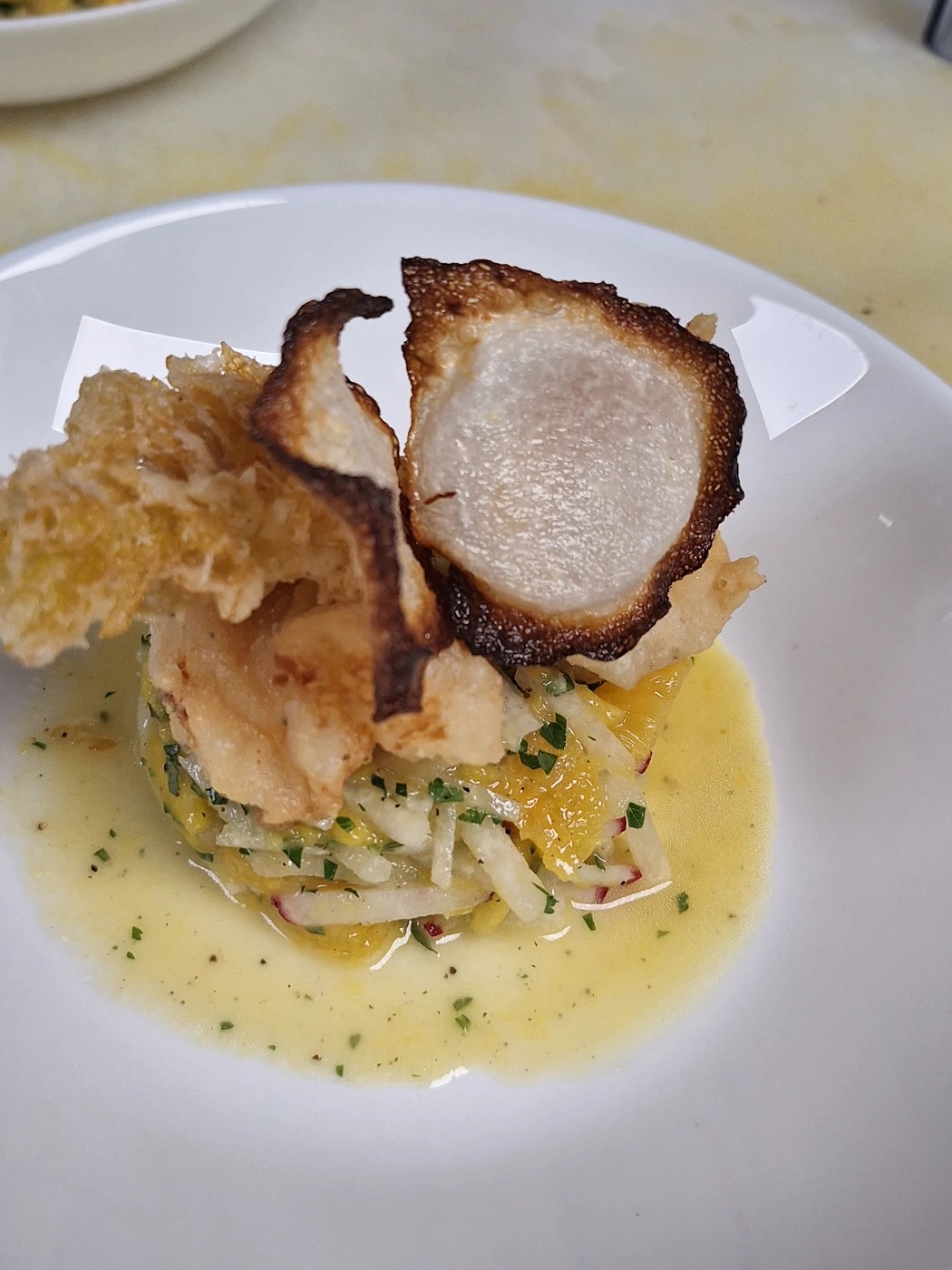 1000013226 (1).jpeg 1000013226 (1).jpeg