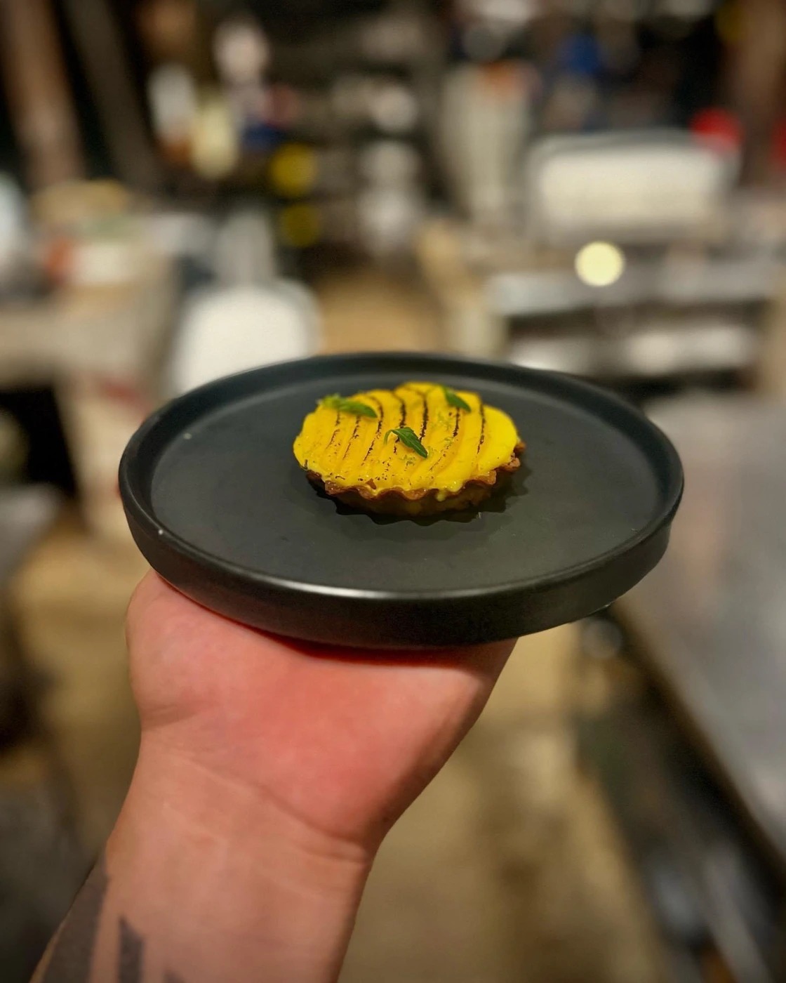 IMG_6849.jpg IMG_6849.jpg