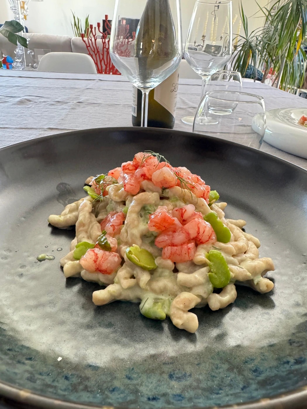 PHOTO-2025-05-26-16-50-21 (1).jpg PHOTO-2025-05-26-16-50-21 (1).jpg