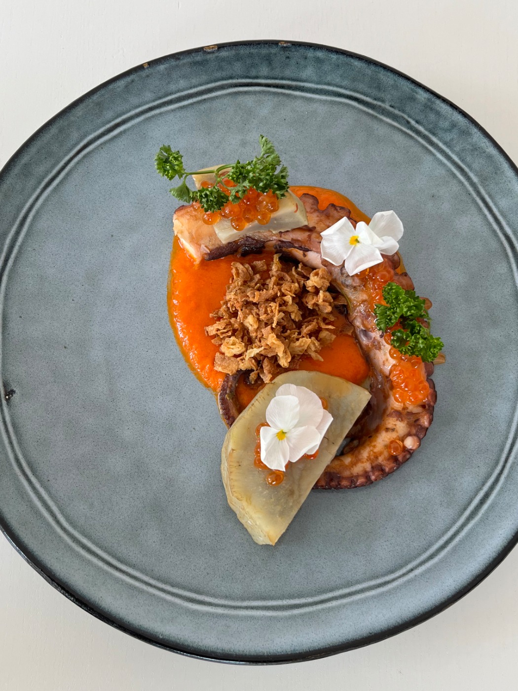 IMG_9864.jpeg IMG_9864.jpeg